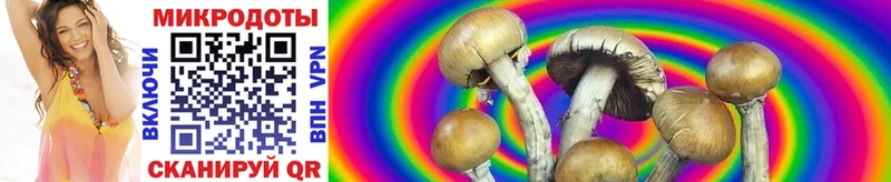 Галлюциногенные грибы мицелий  Новый Оскол 